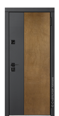 Входная дверь Гарда (вид снаружи) - купить в Новосибирске